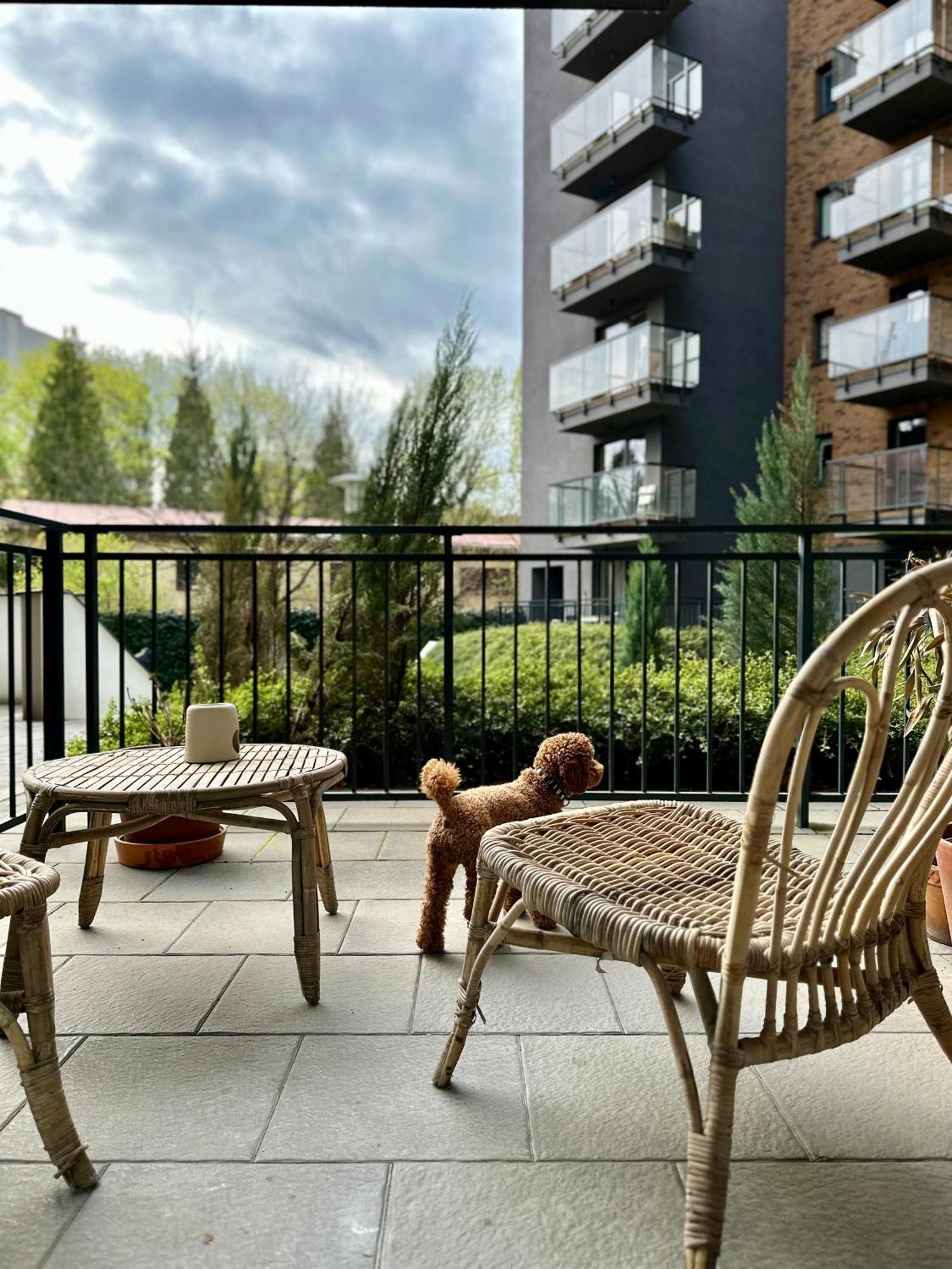 Pure Apartment N°1 فروتسواف المظهر الخارجي الصورة